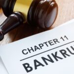 chapter 11 bankruptcy_s (1)