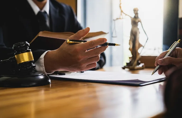 Lawyer is consulting client